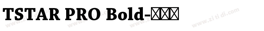 TSTAR PRO Bold字体转换